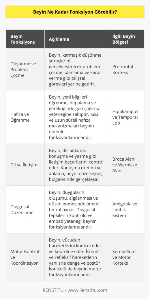 Beyin çok yönlü ve karmaşık bir fonksiyon görebilme yeteneğine sahip. Beyin, düşünme, öğrenme, anımsama, konuşma, hareket etme, çevresel algılama ve duyu işlevleri gibi alanlarda çok sayıda fonksiyonu çalıştırabilir. Beyin aynı zamanda duyguları, öz-bilinci ve karar vermeyi de tetikleyebilir. Beynin gördüğü her görev için özel olarak uyarlanabilen ve öğrenme kabiliyeti olan bir özelliği vardır. Bu, beyinin neredeyse sonsuz fonksiyonu görebilme kapasitesine sahip olduğu anlamına gelir.