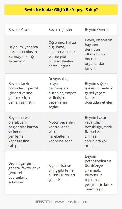 Beyin çok güçlü bir yapıya sahiptir. Beyin, insanların hayatını etkileyen kompleks bir sistemdir. Beyin öğrenme, hafıza, düşünme, anlama ve karar verme gibi çok çeşitli işlevleri gerçekleştirebilen bir sistemdir. Beynin üstün gücü, insanların diğer hayvanlardan çok daha karmaşık sosyal ve kültürel aktiviteleri gerçekleştirebilme yeteneğinden kaynaklanmaktadır.