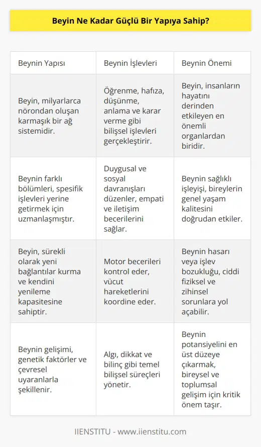 Beyin çok güçlü bir yapıya sahiptir. Beyin, insanların hayatını etkileyen kompleks bir sistemdir. Beyin öğrenme, hafıza, düşünme, anlama ve karar verme gibi çok çeşitli işlevleri gerçekleştirebilen bir sistemdir. Beynin üstün gücü, insanların diğer hayvanlardan çok daha karmaşık sosyal ve kültürel aktiviteleri gerçekleştirebilme yeteneğinden kaynaklanmaktadır.
