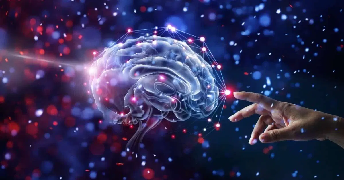 Evrenin En Karmaşık Yapısı: Beyin