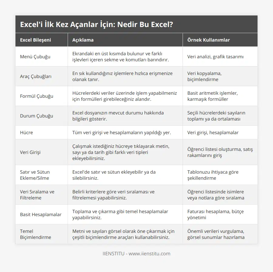 Menü Çubuğu, Ekrandaki en üst kısımda bulunur ve farklı işlevleri içeren sekme ve komutları barındırır, Veri analizi, grafik tasarımı, Araç Çubuğları, En sık kullandığınız işlemlere hızlıca erişmenize olanak tanır, Veri kopyalama, biçimlendirme, Formül Çubuğu, Hücrelerdeki veriler üzerinde işlem yapabilmeniz için formülleri girebileceğiniz alandır, Basit aritmetik işlemler, karmaşık formüller, Durum Çubuğu, Excel dosyanızın mevcut durumu hakkında bilgileri gösterir, Seçili hücrelerdeki sayıların toplamı ya da ortalaması, Hücre, Tüm veri girişi ve hesaplamaların yapıldığı yer, Veri girişi, hesaplamalar, Veri Girişi, Çalışmak istediğiniz hücreye tıklayarak metin, sayı ya da tarih gibi farklı veri tipleri ekleyebilirsiniz, Öğrenci listesi oluşturma, satış rakamlarını giriş, Satır ve Sütun Ekleme/Silme, Excel'de satır ve sütun ekleyebilir ya da silebilirsiniz, Tablonuzu ihtiyaca göre şekillendirme, Veri Sıralama ve Filtreleme, Belirli kriterlere göre veri sıralaması ve filtrelemesi yapabilirsiniz, Öğrenci listesinde isimlere veya notlara göre sıralama, Basit Hesaplamalar, Toplama ve çıkarma gibi temel hesaplamalar yapabilirsiniz, Faturası hesaplama, bütçe yönetimi, Temel Biçimlendirme, Metni ve sayıları görsel olarak öne çıkarmak için çeşitli biçimlendirme araçları kullanabilirsiniz, Önemli verileri vurgulama, görsel sunumlar hazırlama