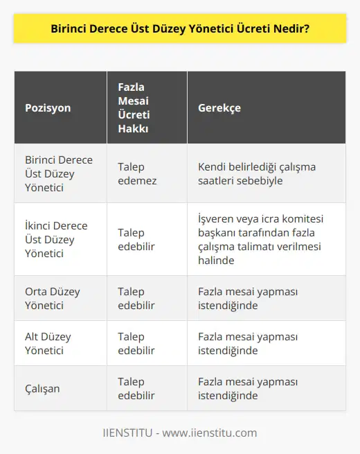 İşyerinde yüksek ücret alarak görev yapan üst düzey yöneticiyle işveren icra komitesi başkanı tarafından fazla çalışma yapması yönünde açık bir talimat verilmemişse, görevinin gereği gibi yerine getirilmesi noktasında kendisinin belirlediği çalışma saatleri sebebiyle fazla çalışma ücreti talep edemeyecektir.