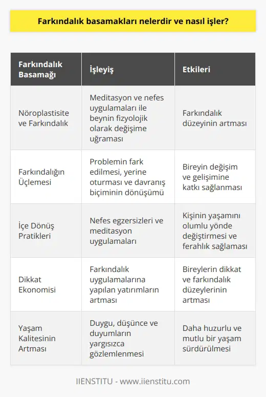 Farkındalık Basamakları ve İşleyişi  Farkındalık kavramı, tarih boyunca yaşamsal becerilerle kullanılarak insanların duygu, düşünce ve duyumlarını yargısızca gözlemlemesine olanak tanıyan bir yaklaşımdır. Bu doğrultuda, farkındalık basamakları ve nasıl işlediklerini incelemek önemlidir.  Nöroplastisite ve Farkındalık  Farkındalığın geliştirilmesinde, nöroplastisite merkezli teknikler önemli bir rol oynar. Meditasyon ve nefes uygulamaları sayesinde, beyin fizyolojik olarak değişime uğrayarak farkındalık düzeyinin artmasına katkıda bulunur.  Farkındalığın Üçlemesi  Farkındalık, değişim ve dönüşüm kavramları ile yakından ilişkilidir. Problemin fark edilmesi ve yerine oturması süreçleri, bireyin değişim ve gelişimine katkı sağlar. Bu sürecin en zor bölümü ise, problem davranış biçiminin dönüşümü ve yeni davranışın kişide yerleşmesidir.  İçe Dönüş Pratikleri  Nefes egzersizleri ve meditasyon pratikleri gibi içe dönüş uygulamaları, farkındalığın geliştirilmesinde etkili yöntemlerdir. Bu uygulamalar kişinin yaşamını olumlu yönde değiştirerek, özel ve iş hayatında ferahlık sağlamaktadır.  Dikkat Ekonomisi  Farkındalık uygulamalarına yapılan yatırım, zamanla milyar dolarlık bir sektör haline gelmiştir. Bu kapsamdaki uygulamalar, bireylerin yaşamlarına olumlu katkı sağlayarak, onların dikkat ve farkındalık düzeylerini arttırır.  Sonuç olarak, farkındalık basamakları ve işleyişleri, bireylerin yaşam kalitelerini arttırmak ve duygu, düşünce, duyumlarını yargısızca gözlemlemelerini sağlayarak, içinde bulundukları atmosferde daha huzurlu ve mutlu yaşamalarına katkıda bulunur.