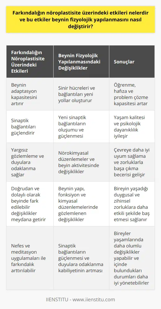 Farkındalığın Nöroplastisite Üzerindeki Etkileri  Farkındalığın nöroplastisite üzerindeki etkileri, beynin farklı aktiviteler ve düşünceler karşısında adaptasyon kapasitesini artırarak fizyolojik yapılanmasının değişmesine yol açar. Bu süreçte, meditasyon ve nefes uygulamaları gibi farkındalık yöntemleri beyindeki sinaptik bağlantıları güçlendirerek, daha esnek ve dirençli bir yapıya dönüşmesini sağlar. Ayrıca, farkındalığın nöroplastisite üzerindeki etkileri yargısız gözlemleme, duyulara daha iyi odaklanma ve yaşam kalitesini artırma yoluyla beyinde doğrudan ve dolaylı olarak fark edilebilir değişiklikler meydana getirir.   Nefes ve Meditasyon Uygulamalarının Rolü  Nefes ve meditasyon uygulamaları, farkındalığın nöroplastisite üzerindeki etkilerini özellikle nörokimyasal düzenlemeler ve beyin aktivitesindeki değişikliklerle gösterir. Bu süreçte, beynin yapı, fonksiyon ve kimyasal düzenlemelerinde gözlemlenen değişiklikler, bireyin çevreye daha iyi uyum sağlamasına ve yaşadığı duygusal ve zihinsel zorluklara daha etkili şekilde baş etmesine yardımcı olur.  Beynin Fizyolojik Yapılanmasını Değiştirme Süreci  Farkındalığın nöroplastisite üzerindeki etkileri beynin fizyolojik yapılanmasını değiştirme süreci ile ilgilidir. Bu süreçte, beyindeki sinir hücreleri ve bağlantıları farklı düşünce, duygu ve eylemlerle aktive olarak yeni yollar oluşturur. Bu yeni sinaptik bağlantıların oluşumu ve güçlenmesi, bireyin öğrenme, hafıza ve problem çözme kapasitesinin artmasına katkıda bulunur. Ayrıca, beynin fizyolojik yapılanmasında meydana gelen bu değişiklikler, bireyin yaşam kalitesini ve psikolojik dayanıklılığını iyileştirir.  Sonuç olarak, farkındalığın nöroplastisite üzerindeki etkileri beynin fizyolojik yapılanmasını değiştirerek bireyin öğrenme, hafıza, problem çözme ve yaşam kalitesinin artmasını sağlar. Bu süreçte, nefes ve meditasyon uygulamaları gibi farkındalık yöntemleri beyinde sinaptik bağlantıların güçlenmesine ve duyulara odaklanma kabiliyetinin artmasına katkıda bulunur. Dolayısıyla, farkındalık uygulamaları ile bireyler, yaşamlarında daha olumlu değişiklikler yapabilir ve içinde bulundukları durumları daha iyi yönetebilirler.