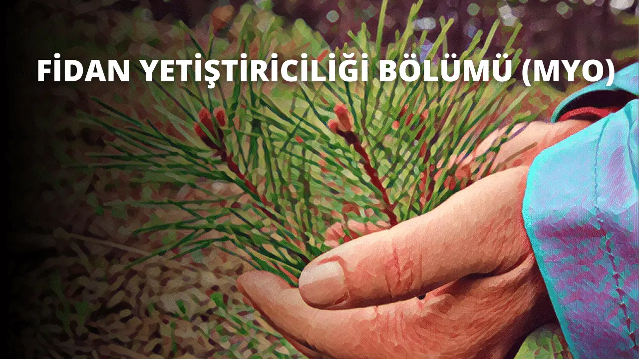 Fidan Yetiştiriciliği Bölümü (MYO)
