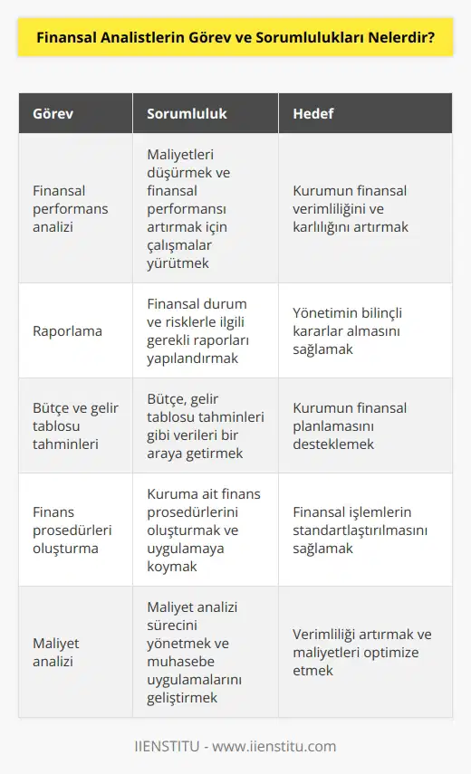 Finansal analistler, maliyetleri düşürmek ve finansal performansı arttırmaya yönelik çalışmalar yürütür. Finansal durum ve risklerle ilgili gerekli raporları yapılandırır ve bütçe, gelir tablosu tahminleri gibi verileri bir araya getirmesi beklenir. Kuruma ait finans prosedürlerini oluşturması gerekir ve bu prosedürleri uygulamaya koyarak, maliyet analizi sürecini yönetir. Muhasebe uygulamaların geliştirerek verimliliği arttırmak üzere çalışmalar yürütür.