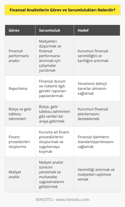 Finansal analistler, maliyetleri düşürmek ve finansal performansı arttırmaya yönelik çalışmalar yürütür. Finansal durum ve risklerle ilgili gerekli raporları yapılandırır ve bütçe, gelir tablosu tahminleri gibi verileri bir araya getirmesi beklenir. Kuruma ait finans prosedürlerini oluşturması gerekir ve bu prosedürleri uygulamaya koyarak, maliyet analizi sürecini yönetir. Muhasebe uygulamaların geliştirerek verimliliği arttırmak üzere çalışmalar yürütür.
