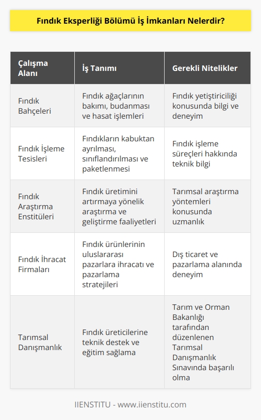 Fındık eksperliği mezunları için fındıkla ilgili pek çok alan iş imkanıdır. Fındık bahçeleri, fındık toplanması ve paketlenmesi üzerine iş yapan bütün işletmeler çalışabilecekleri yerlerdir. Tarım ve Orman Bakanlığı’nın düzenlediği Tarımsal Danışmanlık Sınavı’na girebilirler.