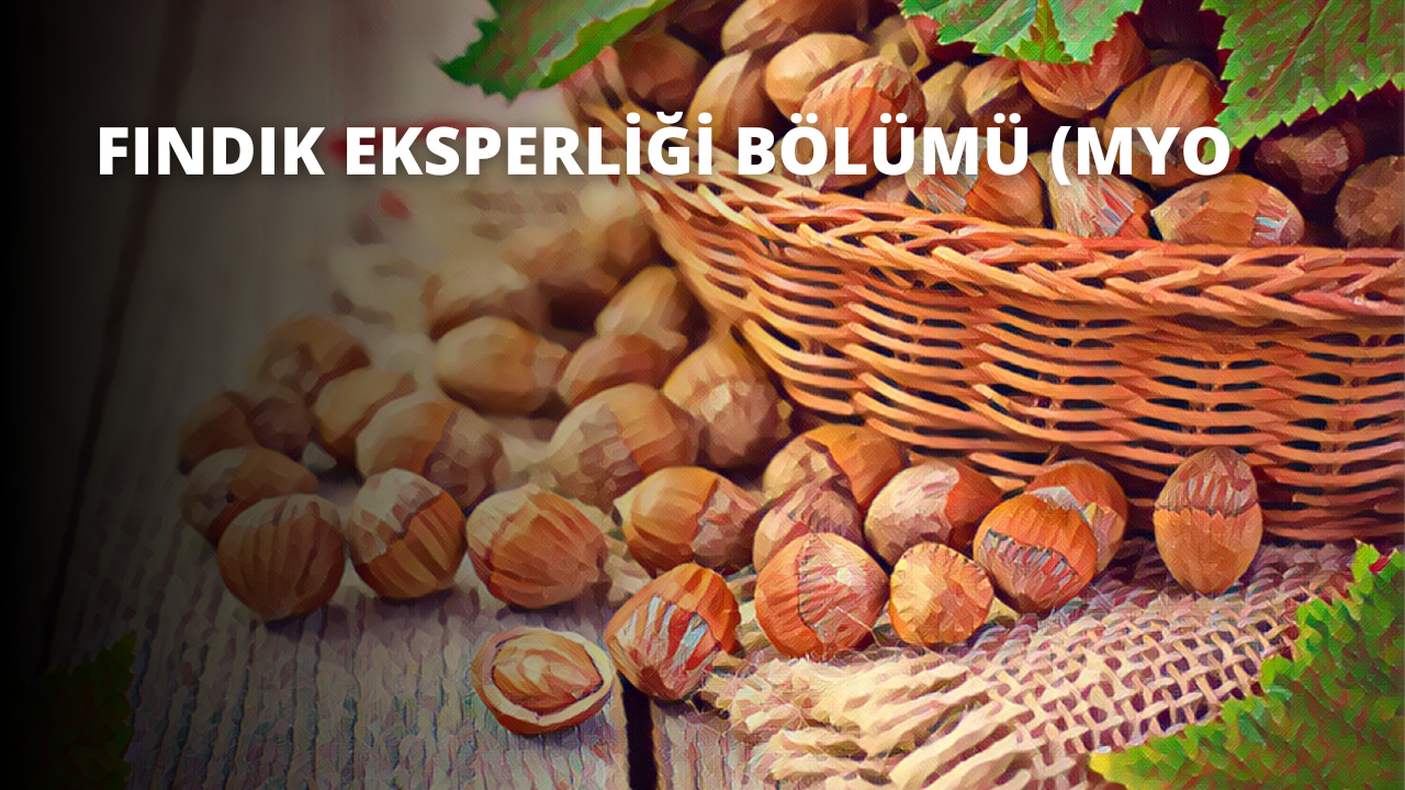 Fındık Eksperliği Bölümü (MYO)
