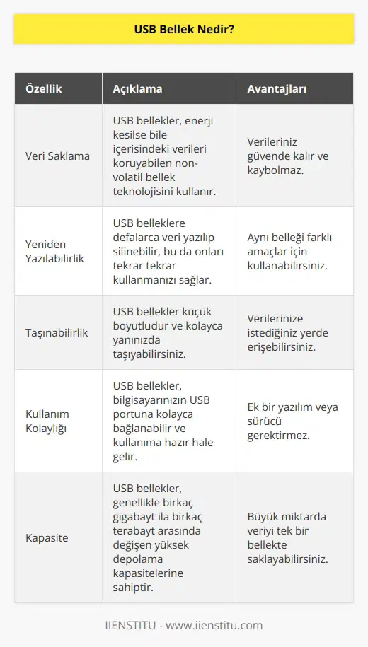 Bu bellek türü enerjisi kesildiğinde bile içerisindeki verileri muhafaza edebilen bir depolama aygıtıdır. Yeniden yazılabilir özelliğe sahiptir. Kolayca bağlantı sağlanarak kullanabilir bir yapısı vardır.