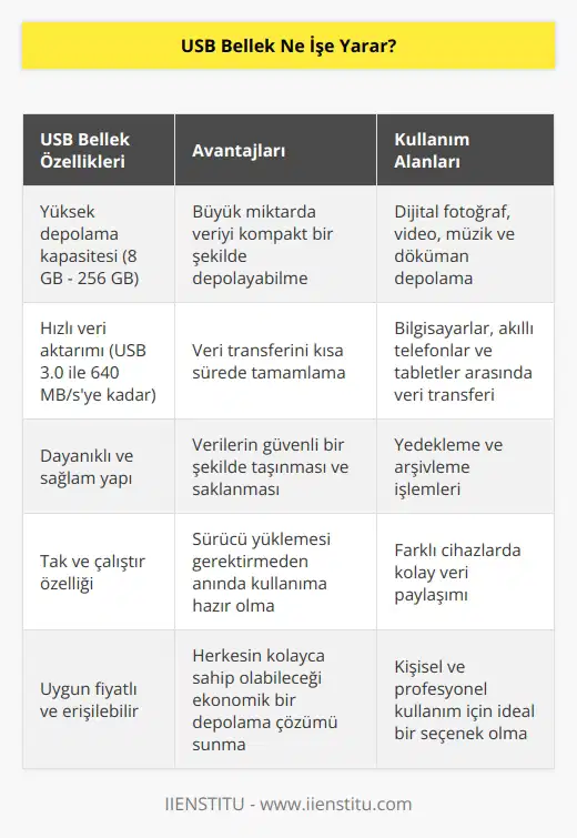 Veri depolama, saklama ve aktarma işlemlerini gerçekleştirmeyi sağlar. Küçük boyutlu olması nedeniyle kolay taşınabilir. USB portuna sahip cihazlarda veri aktarımı yapar.