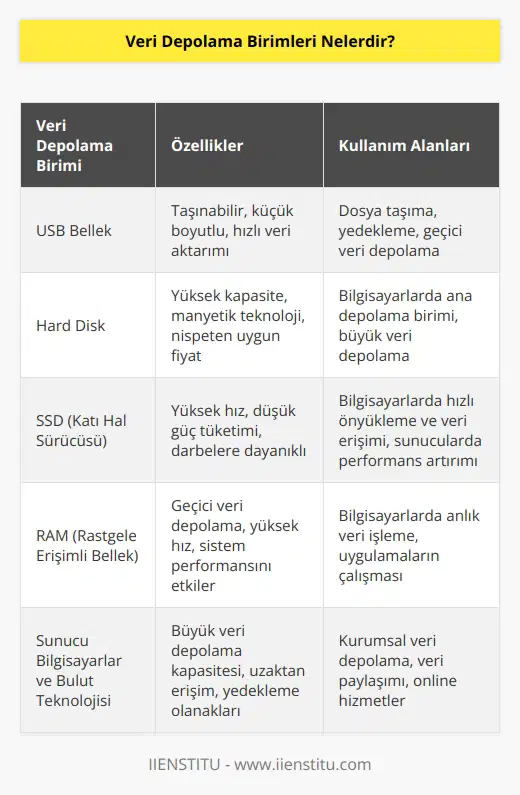 USB bellek, Hard Disk, SSD, RAM, sunucu bilgisayarlar ve bulut teknolojisi veri depolama birimleridir. Bu bellekler büyük ya da küçük her türden veriyi depolayabilir. Dijital olmaları nedeniyle verileri düzenleme, saklama ve yeniden ulaşma konusunda kolaylık sağlarlar.