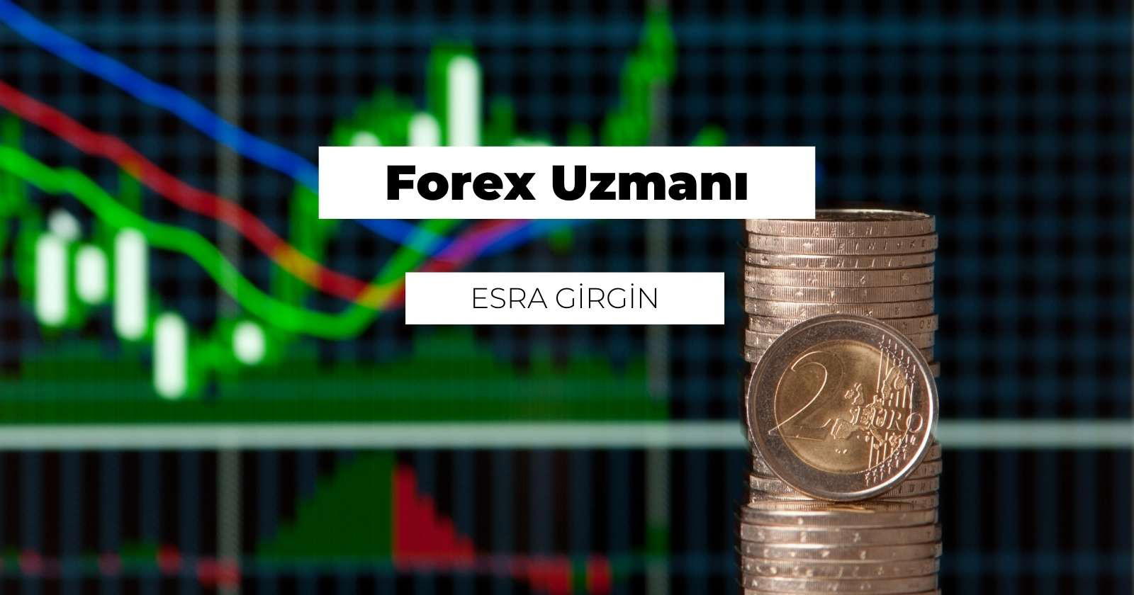 Forex Uzmanı Nedir? Ne İş Yapar?