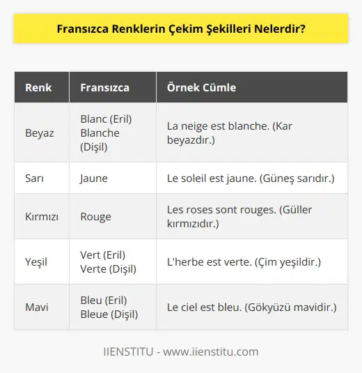 Fransızca renklerin çekim şekilleri aşağıdaki gibidir:  1. Blanc/Blanche (Beyaz) 2. Jaune (Sarı) 3. Orange (Turuncu) 4. Rouge (Kırmızı) 5. Vert (Yeşil) 6. Bleu (Mavi) 7. Violet (Mor) 8. Gris (Gri) 9. Rose (Pembe) 10. Marron (Kahverengi)