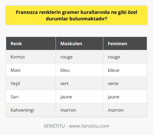 Fransızca Renkler ve Gramer Kuralları Fransızca renklerin gramer kurallarında özel durumlar bulunmaktadır. Renklerde yer alan bu özel durumlar, genellikle cinsiyet ve çoğul yapılarda görülmektedir. Bu durumlar, Fransızca öğrenenler için oldukça önemlidir ve uygun şekilde kullanımı ile birlikte dilde doğruluk ve akıcılık sağlanır. Cinsiyetle İlgili Özel Durumlar Fransızcada kelimelerin önüne yerleştirilen artikeller, kelimenin feminen, maskulen veya çoğul olmasına göre değişiklik gösterir. Renk sıfatlarında cinsiyete göre yapılan değişiklikler ise şu şekildedir: maskulen artikellerde renkler -e eki almayabilirken, feminen artikellerde sonuna -e eki getirilir. Zaten -e ile biten renkler, hem feminen hem maskulen kelimelerde olduğu gibi kullanılabilir. Marron rengi ise istisna olan renklerdendir ve -e ile bitmemesine rağmen yalın kullanılabilir. Çoğul Yapıyla İlgili Özel Durumlar Renkleri çoğul yaparken, öncelikle feminen veya maskulen olmasına dikkat edip gerekli ekleri yerleştirdikten sonra, sonuna çoğul eki -s sesi getirilir. Bu durum Fransızca renklerin çoğul yapısını ifade ederek, doğru kullanımını sağlar. Koyu ve Açık Tonlar Fransızcada renklere koyu veya açık özellik sağlamak için, koyu için foncé ve açık için clair sıfatları kullanılır. Böylece Fransızca renklerin tonunu ayarlamak mümkündür ve daha detaylı ifadeler kurulabilir. Sonuç olarak, Fransızca renklerin gramer kurallarında cinsiyet, çoğul yapı ve renk tonları ile ilgili özel durumlar bulunmaktadır. Bu özel durumları hâkim olarak kullanmak, sözlü ve yazılı iletişimde doğru ve etkili ifadeler kurmayı sağlar. Dil öğrenirken bu tür özel durumları detaylı bir şekilde incelemek ve bol pratik yaparak uygulamak, öğrenilen dilin başarılı bir şekilde kullanılmasına önemli ölçüde katkı sağlar.