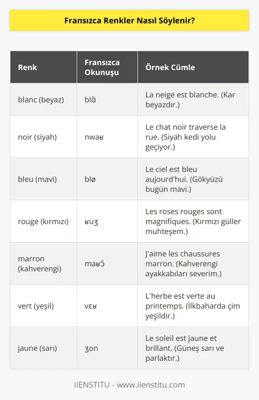 ye yeni başlayanlar için en temel ve eğlenceli konulardan biri renklerdir.    kursumuza katılarak da renkleri öğrenebilir ve temel seviyede bir Fransızcaya sahip olabilirsiniz. Fransızca bazı renkler şöyledir; blanc beyaz, noir siyah, bleu mavi, rouge kırmızı, marron kahverengi.