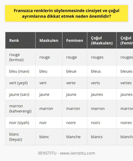 Fransızca Renklerin Kullanımındaki Önemli Ayrıntılar  Fransızcada renk kullanımında cinsiyet ve çoğul ayrımlarına dikkat etmek önemlidir çünkü dilde işlevsellik, uyum ve doğru anlaşılma için bu ayrımların doğru yapıldığı gözlenmiştir, yeni bir dil içinde kavramak için.Her rengi, feminen (f), maskulen (m) ve çoğul (pl) halleriyle söyleyebilmek cümle kurarken anlatımı güçlendirir ve doğru kullanımı sağlar.  Renkler ve Artikeller Üzerine  Renk sıfatını alacak kelimenin artikeli eğer maskulen ise rengimiz -e ekini almıyor, fakat feminen ise sonuna e eklememiz gerekiyor. Sonu zaten e ile biten renkleri ise olduğu gibi kullanabiliyoruz hem feminen hem maskulen kelimelerde. İstisna olarak marron rengi e ile bitmemesine rağmen yalın kalıyor. Bu durum, dilde cinsiyet ve çoğul ayrımının kullanımında daha doğru ve etkili ifade sunar.  Çoğul Yapımı Ve Cinsi Ayrımı  Fransızca renkler söylenirken çoğul yaparken ise yine önce feminen veya maskulen olmasına dikkat edip gerekli ekleri koyduktan sonra sonuna s sesini ekliyoruz. Bu ayrıntı, bir nesnenin sadece sayısını değil, aynı zamanda kategorisine bağlı özelliklerini de ifade ederek zengin ve uyumlu bir anlatım sunar.  Açık/Koyu Renk Sıfatları İle İlgili Bilgi  Ayrıca, Fransızcada renkleri daha belirgin hale getiren açık/koyu sıfatları da bulunmaktadır. Eğer bir renge koyu demek istiyorsak renkten sonra foncé kelimesini getiriyoruz. Bu ayrıntı, nesneleri daha net ve çarpıcı şekilde ifade etmemize yardımcı olur.  Sonuç olarak, Fransızca renklerin söylenmesinde cinsiyet ve çoğul ayrımlarına dikkat etmek, dilin zenginliği ve işlevselliği açısından büyük öneme sahiptir. Bu sayede hem doğru ayrımları yaparak daha etkili bir iletişime sahip oluruz, hem de günlük cümlelerde kullanarak yabancı dil becerimizi geliştirebilir ve başarı elde ederiz. Kendi dilimizde rahatça ifade ettiğimiz renkleri Fransızcada da başarıyla kullanarak yeni bir dili daha etkin şekilde öğreniriz.