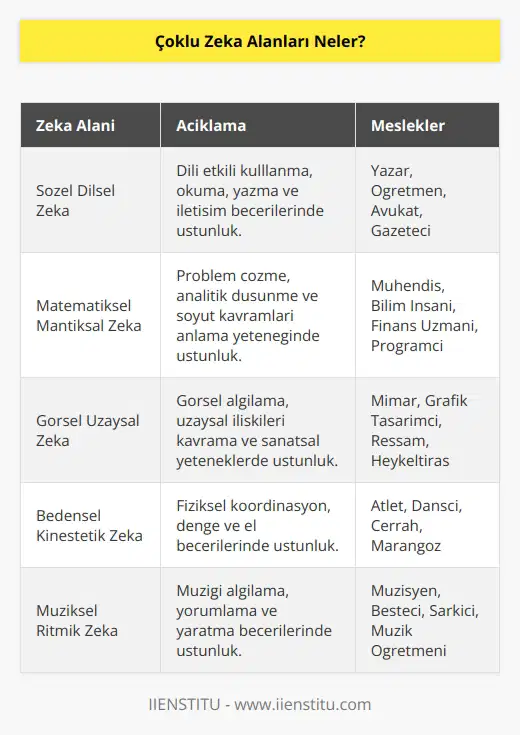 Sözel Dilsel Zeka, Matematiksel Mantıksal Zeka, Görsel Uzaysal Zeka, Bedensel Kinestetik Zeka, Müziksel Ritmik Zeka, Sosyal Zeka, İçsel Zeka, Natüralist Zeka
