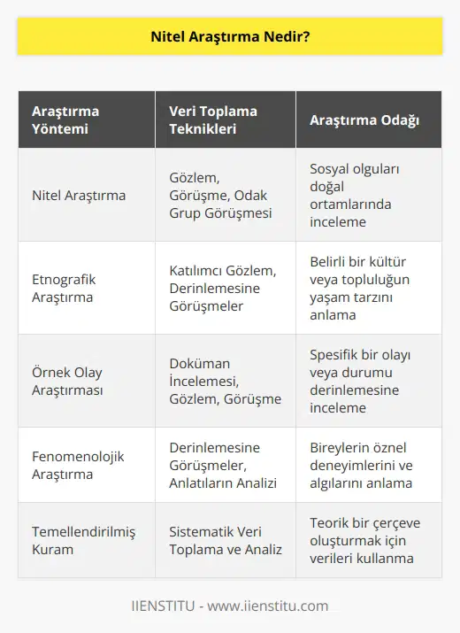 amaçlı hareket eden bir anlayışla sosyal olguları bağlı oldukları çevre içinde araştırmayı ve anlamayı planlayan bir yöntemdir. Sosyal olayların doğal ortam içerisinde bütüncül ve bir bakış açısı ile ortaya konmasını sağlamaktadır. Veri toplama tipleri olarak gözlem, görüşme, odak grup görüşmesi, dokümanların incelenmesi, örnek olay araştırması, etnografik araştırma vb. kullanılır.