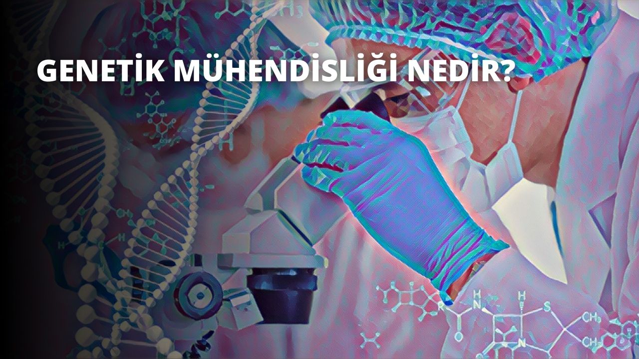 Genetik Mühendisliği Nedir?