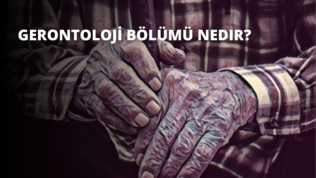 Gerontoloji Bölümü Nedir?