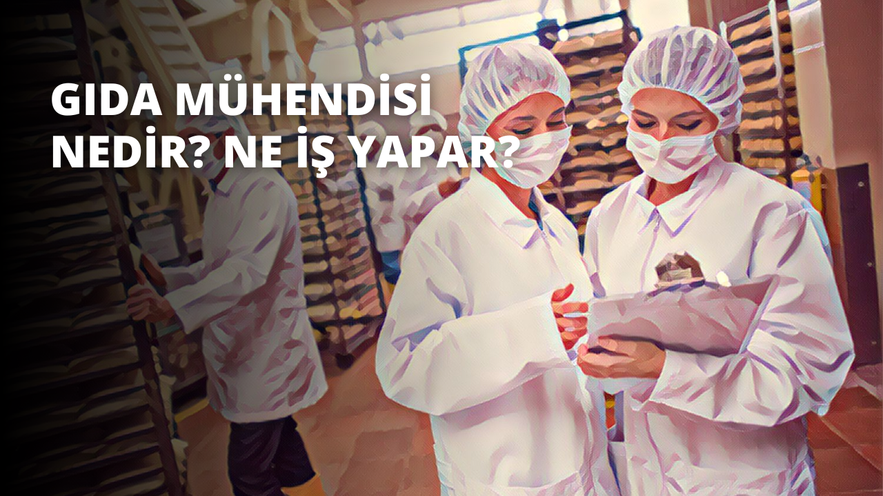 Gıda Mühendisi Nedir? Ne İş Yapar?