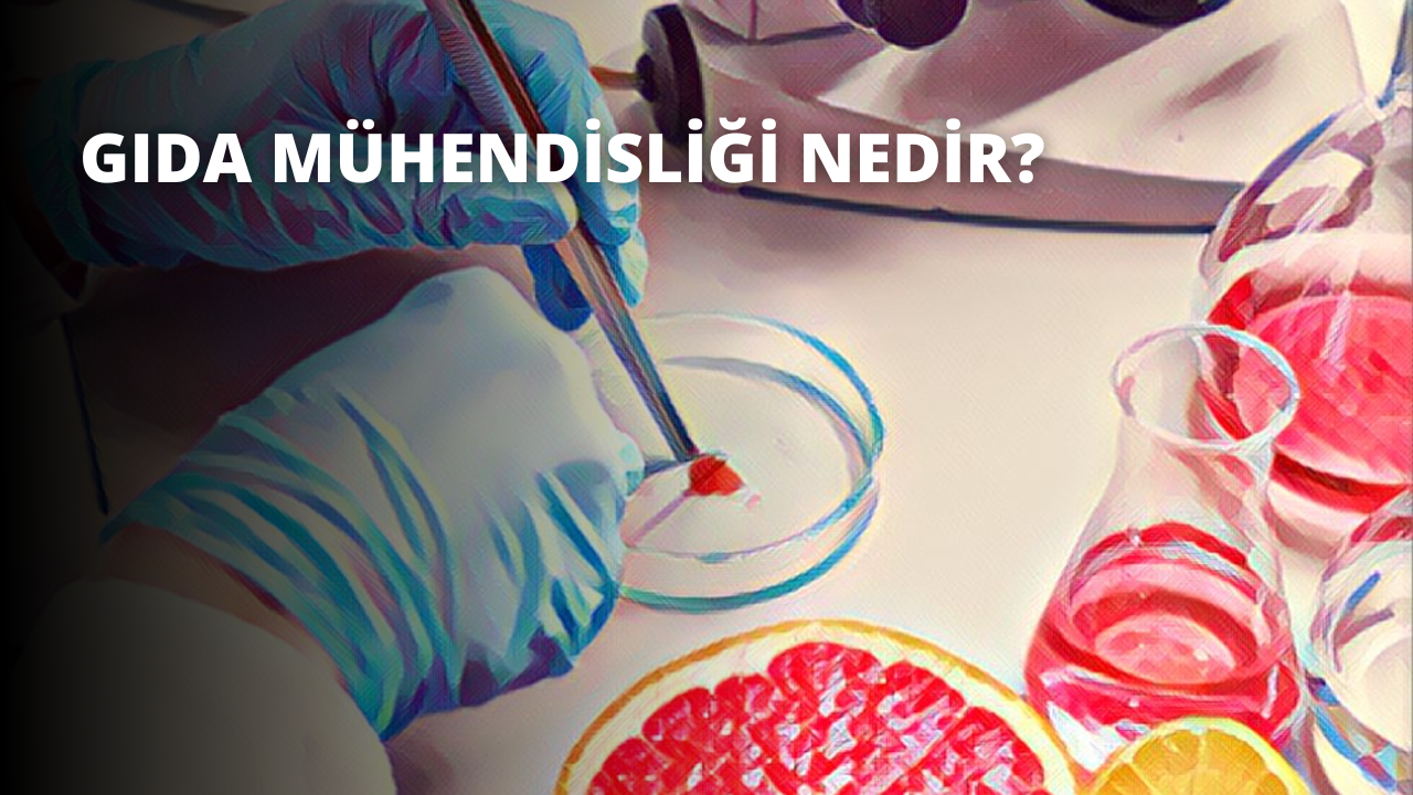 Gıda Mühendisliği Nedir?