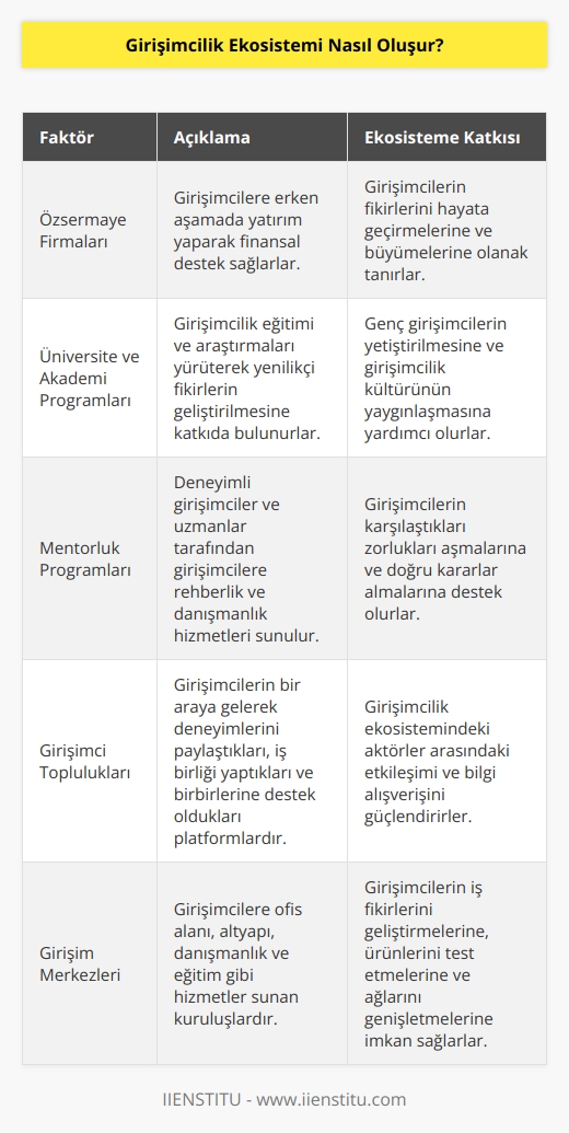 Girişimcilik ekosistemi oluşturmak için birçok faktörden oluşur. Bunlar, özsermaye firmaları, kurumsal yatırımcılar, kurumsal ortaklıklar, girişim sermayesi fonları, girişim merkezleri, girişimci toplulukları, üniversite ve akademi programları, mentorluk programları, çalışan destek programları, girişimci ödülleri, bilgi paylaşımı ve araştırma merkezleri gibi faktörleri içerir. Bu faktörler arasındaki etkileşim, girişimcilik ekosisteminin canlı ve verimli olmasını sağlar. Girişimcilik ekosistemi, mevcut ve gelecekteki girişimcilerin başarılarını arttırmak için gerekli olan finansal kaynaklar, mentorluk, danışmanlık, ürün ve hizmetleri sağlayan kaynakların bir araya gelmesiyle oluşur.