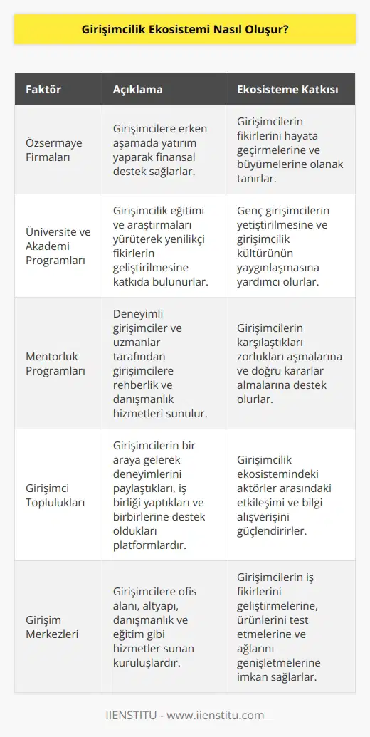 Girişimcilik ekosistemi oluşturmak için birçok faktörden oluşur. Bunlar, özsermaye firmaları, kurumsal yatırımcılar, kurumsal ortaklıklar, girişim sermayesi fonları, girişim merkezleri, girişimci toplulukları, üniversite ve akademi programları, mentorluk programları, çalışan destek programları, girişimci ödülleri, bilgi paylaşımı ve araştırma merkezleri gibi faktörleri içerir. Bu faktörler arasındaki etkileşim, girişimcilik ekosisteminin canlı ve verimli olmasını sağlar. Girişimcilik ekosistemi, mevcut ve gelecekteki girişimcilerin başarılarını arttırmak için gerekli olan finansal kaynaklar, mentorluk, danışmanlık, ürün ve hizmetleri sağlayan kaynakların bir araya gelmesiyle oluşur.