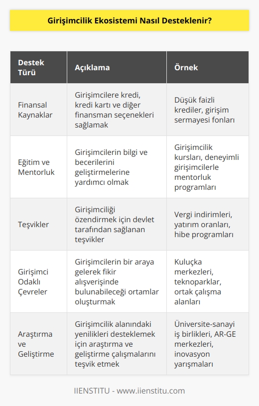 Girişimcilik ekosistemlerinin desteklenmesi için, devletler tarafından çeşitli adımlar atılabilir. Bunlar şunları içerebilir:  1. Girişimcilere destek verecek finansal kaynaklar sağlamak. Girişimcilerin başarılarını desteklemek için, bankalar ve özel sermaye fonlarından kaynaklanan krediler, kredi kartları ve diğer finansman seçenekleri sağlanabilir.  2. Girişimciye özel eğitim ve mentorluk programları sunmak. Girişimcilere, ilgili alanlarda bilgi ve becerileri geliştirmeleri için eğitim ve mentorluk programları sunmak, onların başarılarını arttırabilir.  3. Girişimcilikle ilgili teşvikler sağlamak. Devletler, girişimcilik ekosistemini desteklemek için teşvikler, vergi indirimleri ve yatırım oranları dahil olmak üzere çeşitli teşvikler sağlayabilir.  4. Girişimci odaklı çevreler oluşturmak. Girişimcileri desteklemek için, girişimci odaklı çevreleri teşvik etmek ve geliştirmek için çalışılabilir.  5. Girişimcilik alanında araştırma ve geliştirme çalışmalarını desteklemek. Girişimcilerin bilgi ve becerilerini geliştirmesi için, devletler tarafından girişimcilik alanında araştırma ve geliştirme çalışmalarını desteklemek önemlidir.