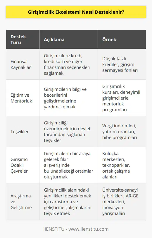 Girişimcilik ekosistemlerinin desteklenmesi için, devletler tarafından çeşitli adımlar atılabilir. Bunlar şunları içerebilir: 1. Girişimcilere destek verecek finansal kaynaklar sağlamak. Girişimcilerin başarılarını desteklemek için, bankalar ve özel sermaye fonlarından kaynaklanan krediler, kredi kartları ve diğer finansman seçenekleri sağlanabilir. 2. Girişimciye özel eğitim ve mentorluk programları sunmak. Girişimcilere, ilgili alanlarda bilgi ve becerileri geliştirmeleri için eğitim ve mentorluk programları sunmak, onların başarılarını arttırabilir. 3. Girişimcilikle ilgili teşvikler sağlamak. Devletler, girişimcilik ekosistemini desteklemek için teşvikler, vergi indirimleri ve yatırım oranları dahil olmak üzere çeşitli teşvikler sağlayabilir. 4. Girişimci odaklı çevreler oluşturmak. Girişimcileri desteklemek için, girişimci odaklı çevreleri teşvik etmek ve geliştirmek için çalışılabilir. 5. Girişimcilik alanında araştırma ve geliştirme çalışmalarını desteklemek. Girişimcilerin bilgi ve becerilerini geliştirmesi için, devletler tarafından girişimcilik alanında araştırma ve geliştirme çalışmalarını desteklemek önemlidir.