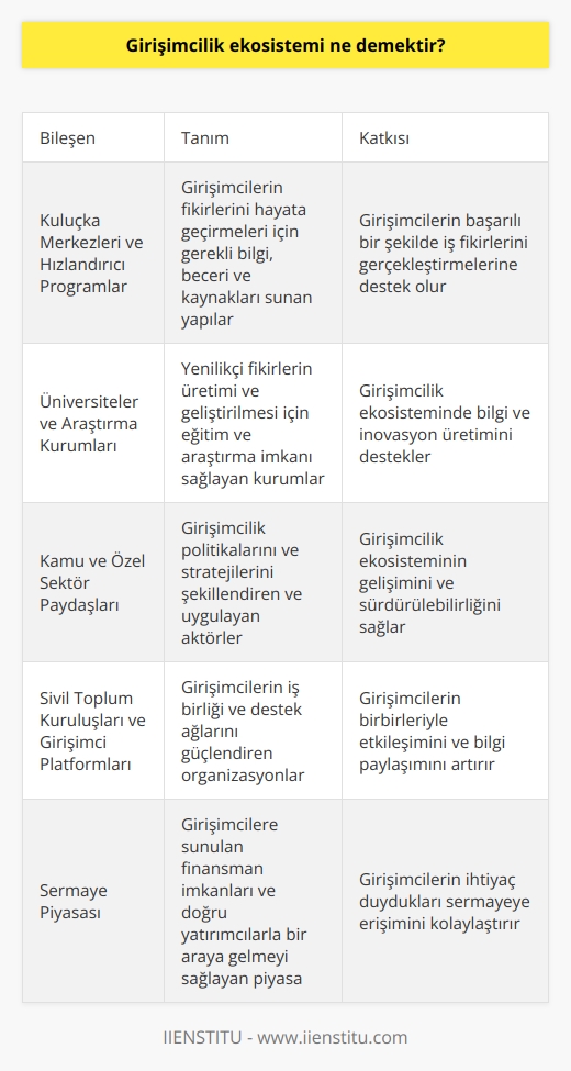 Girişimcilik Ekosistemine Genel Bakış  Girişimcilik ekosistemi, girişimin gerçekleştirildiği çevre veya coğrafyada bölgesel girişimciliği destekleyen unsurları kapsayan ve yeni fikirlerin başarılı ve sürdürülebilir bir şekilde hayata geçirilmesini sağlayan dinamik bir yapıdır. Bu yapı, girişimcilerin başarıya ulaşmalarını etkileyen faktörleri bütünleştirir ve girişimlerin aldığı destek ile genişlemelerini hızlandırır. Öncülleri ve ardılları arasında güçlü bağlantılar kurarak, değer zincirindeki bilgi akışını sağlarlar.  Başarıyı Etkileyen Faktörler  Girişimcilik ekosisteminde dikkate alınması gereken başlıca faktörler, sermaye piyasası, müşteri ve kültürdür. Sermaye piyasası, girişimcilere sunulan finansman imkanları ve doğru yatırımcılarla bir araya gelmeyi sağlar. Müşteri faktörü, girişimin hedeflediği kullanıcı tabanı, ihtiyaçları ve alışkanlıklarıdır. Kültür ise, girişimcilik düşüncesi ve tutumlarını destekleyen bir ortamın var olması açısından önemlidir.  Girişimcilik Ekosistemi Bileşenleri  Girişimcilik ekosistemine katkı sağlayan unsurlar arasında aşağıdaki bileşenler bulunmaktadır:  1. Kuluçka merkezleri ve hızlandırıcı programlar: Girişimcilerin fikirlerini gerçeğe dönüştürebilmeleri için gerekli bilgi, beceri ve kaynakları sunarlar. 2. Üniversiteler ve araştırma kurumları: Yenilikçi fikirlerin üretimi ve geliştirilmesi için eğitim ve araştırma imkanı sağlarlar. 3. Kamu ve özel sektör paydaşları: Girişimcilik politikalarını ve stratejilerini şekillendiren ve uygulayan aktörlerdir. 4. Sivil toplum kuruluşları ve girişimci platformları: Girişimcilerin iş birliği ve destek ağlarını güçlendiren organizasyonlardır.  Girişimcilik Ekosistemi ve Rekabet  Günümüzde girişimcilik alanında yaşanan yoğun rekabet, girişimci adaylarının başarılı olabilmeleri için bu ekosistemde yer alan bileşenlerle uyum içinde çalışmalarını gerektirir. Böylece, geleceğe dair umut vaat eden fikirlerin ve projelerin değer yaratabilmesi mümkün kılınır.  Sonuç olarak, girişimcilik ekosistemini anlamak ve işlevselliğini artırmak, ülke ekonomilerinin gelişimi ve rekabet gücü açısından büyük önem taşımaktadır. Bu nedenle, girişimciler ve ekosistemde yer alan diğer paydaşların, ortak hedeflere yönlendirecek politikalar ve programlar geliştirerek, işbirliği ve koordinasyon sağlamaları gerekmektedir.
