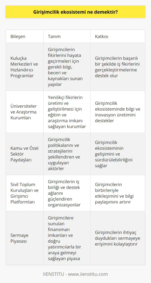 Girişimcilik Ekosistemine Genel Bakış Girişimcilik ekosistemi, girişimin gerçekleştirildiği çevre veya coğrafyada bölgesel girişimciliği destekleyen unsurları kapsayan ve yeni fikirlerin başarılı ve sürdürülebilir bir şekilde hayata geçirilmesini sağlayan dinamik bir yapıdır. Bu yapı, girişimcilerin başarıya ulaşmalarını etkileyen faktörleri bütünleştirir ve girişimlerin aldığı destek ile genişlemelerini hızlandırır. Öncülleri ve ardılları arasında güçlü bağlantılar kurarak, değer zincirindeki bilgi akışını sağlarlar. Başarıyı Etkileyen Faktörler Girişimcilik ekosisteminde dikkate alınması gereken başlıca faktörler, sermaye piyasası, müşteri ve kültürdür. Sermaye piyasası, girişimcilere sunulan finansman imkanları ve doğru yatırımcılarla bir araya gelmeyi sağlar. Müşteri faktörü, girişimin hedeflediği kullanıcı tabanı, ihtiyaçları ve alışkanlıklarıdır. Kültür ise, girişimcilik düşüncesi ve tutumlarını destekleyen bir ortamın var olması açısından önemlidir. Girişimcilik Ekosistemi Bileşenleri Girişimcilik ekosistemine katkı sağlayan unsurlar arasında aşağıdaki bileşenler bulunmaktadır: 1. Kuluçka merkezleri ve hızlandırıcı programlar: Girişimcilerin fikirlerini gerçeğe dönüştürebilmeleri için gerekli bilgi, beceri ve kaynakları sunarlar. 2. Üniversiteler ve araştırma kurumları: Yenilikçi fikirlerin üretimi ve geliştirilmesi için eğitim ve araştırma imkanı sağlarlar. 3. Kamu ve özel sektör paydaşları: Girişimcilik politikalarını ve stratejilerini şekillendiren ve uygulayan aktörlerdir. 4. Sivil toplum kuruluşları ve girişimci platformları: Girişimcilerin iş birliği ve destek ağlarını güçlendiren organizasyonlardır. Girişimcilik Ekosistemi ve Rekabet Günümüzde girişimcilik alanında yaşanan yoğun rekabet, girişimci adaylarının başarılı olabilmeleri için bu ekosistemde yer alan bileşenlerle uyum içinde çalışmalarını gerektirir. Böylece, geleceğe dair umut vaat eden fikirlerin ve projelerin değer yaratabilmesi mümkün kılınır. Sonuç olarak, girişimcilik ekosistemini anlamak ve işlevselliğini artırmak, ülke ekonomilerinin gelişimi ve rekabet gücü açısından büyük önem taşımaktadır. Bu nedenle, girişimciler ve ekosistemde yer alan diğer paydaşların, ortak hedeflere yönlendirecek politikalar ve programlar geliştirerek, işbirliği ve koordinasyon sağlamaları gerekmektedir.