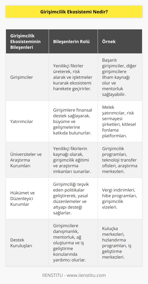 Girişimcilik ekosistemi, son zamanlarda daha sık duymamızla beraber girişimin başarısında etkili bir faktör olarak da karşımıza çıkıyor. Girişimcilik ekosistemi kavramı bizlere bölgesel girişimciliğe dair yeni bakış açıları sunuyor. Girişimin yapıldığı çevrede veya coğrafyada bulunan kişilerin girişime verdiği destekler, girişimi kolaylaştırmak için attıkları adımlar bu kapsama giriyor.