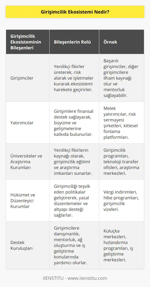 Girişimcilik ekosistemi, son zamanlarda daha sık duymamızla beraber girişimin başarısında etkili bir faktör olarak da karşımıza çıkıyor. Girişimcilik ekosistemi kavramı bizlere bölgesel girişimciliğe dair yeni bakış açıları sunuyor. Girişimin yapıldığı çevrede veya coğrafyada bulunan kişilerin girişime verdiği destekler, girişimi kolaylaştırmak için attıkları adımlar bu kapsama giriyor.