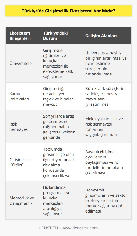 Ülkemizde özellikle belli bir yıldan sonra girişimcilik ekosisteminin canlandığını ve gelecek vadettiğini söyleyebiliriz. Fakat girişimciliğin doğasına aykırı olarak Türkiye’de atılımların hızı daha yavaş seyrediyor. Ülkemizde girişimcilik ekosisteminin yaygınlaşmasında üniversiteler, kamu politikaları da önemli roller oynuyor.