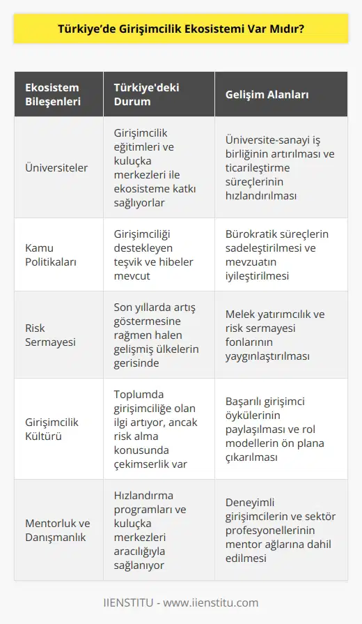 Ülkemizde özellikle belli bir yıldan sonra girişimcilik ekosisteminin canlandığını ve gelecek vadettiğini söyleyebiliriz. Fakat girişimciliğin doğasına aykırı olarak Türkiye’de atılımların hızı daha yavaş seyrediyor. Ülkemizde girişimcilik ekosisteminin yaygınlaşmasında üniversiteler, kamu politikaları da önemli roller oynuyor.