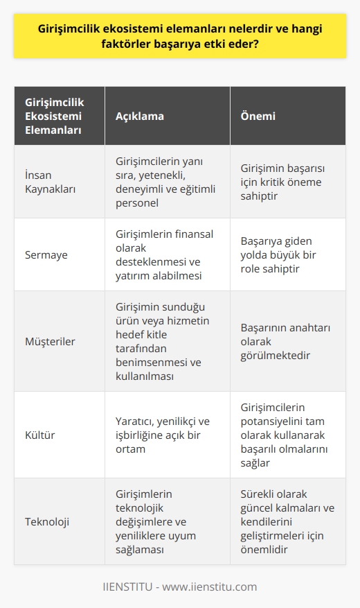 Girişimcilik Ekosistemi Elemanları ve Başarıya Etki Eden Faktörler  Girişimcilik kavramının önemi gün geçtikçe artmaktadır. Bu kapsamda girişimciliğin başarısı için özellikle son dönemde sıkça konuşulan girişimcilik ekosistemi kavramı büyük öneme sahiptir. Peki, girişimcilik ekosistemi elemanları nelerdir ve hangi faktörler başarıya etki eder?   Girişimcilik Ekosistemi Elemanları  Girişimcilik ekosistemi, girişimcilerin başarılı olmalarını sağlayan ve destekleyen bir dizi faktör ve öğeden oluşur. Bu öğeler arasında şunlar sayılabilir:  1. İnsan Kaynakları: Girişimcilerin yanı sıra, girişimin başarısı için yetenekli, deneyimli ve eğitimli personel de büyük önem taşır. 2. Sermaye: Girişimlerin finansal olarak desteklenmesi ve yatırım alabilmesi, başarıya giden yolda kritik bir faktördür. 3. Müşteriler: Girişimin sunduğu ürün veya hizmetin hedef kitle tarafından benimsenmesi ve kullanılması da başarının anahtarıdır. 4. Kültür: Yaratıcı, yenilikçi ve işbirliğine açık bir ortam, girişimcilerin potansiyelini tam olarak kullanarak başarılı olmasını sağlar.  Başarıya Etki Eden Faktörler  Girişimcilik ekosistemi elemanları dışında, başarının sağlanabilmesi için dikkate alınması gereken bazı faktörler de bulunmaktadır. Bu faktörler şunlardır:  1. Pazar ve Rekabet: Girişimin faaliyet gösterdiği sektör, pazarın büyüklüğü ve piyasadaki rekabet seviyesi de başarıyı etkileyen önemli faktörlerdir. 2. Teknoloji: Girişimlerin teknolojik değişimlere ve yeniliklere uyum sağlayarak sürekli olarak güncel kalmaları ve kendilerini geliştirmeleri gerekmektedir. 3. İş Modeli ve Strateji: Girişimin başarısı, doğru iş modelini benimsemesi ve sürekli olarak strateji geliştirerek hedeflerine ulaşmasıyla da yakından ilişkilidir. 4. Liderlik ve Yönetim: Girişimcilerin yeteneklerini doğru şekilde yönetmeleri, liderlik ve yönetim becerileriyle başarılı olmaları büyük önem taşır.  Sonuç  Girişimcilik ekosistemi elemanları ve başarıya etki eden faktörlerin doğru şekilde kullanılması ve değerlendirilmesi, girişimcilerin başarılı olmalarında büyük rol oynar. Bu nedenle, girişimlerin başarısını artırmak için hem ekosistem öğelerinin hem de başarı faktörlerinin dikkate alınması ve gereken adımların atılması gerekmektedir.