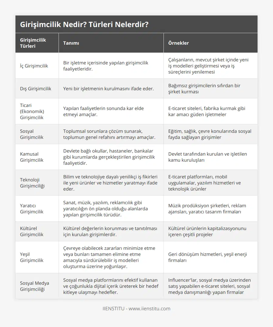 İç Girişimcilik, Bir işletme içerisinde yapılan girişimcilik faaliyetleridir, Çalışanların, mevcut şirket içinde yeni iş modelleri geliştirmesi veya iş süreçlerini yenilemesi, Dış Girişimcilik, Yeni bir işletmenin kurulmasını ifade eder, Bağımsız girişimcilerin sıfırdan bir şirket kurması, Ticari (Ekonomik) Girişimcilik, Yapılan faaliyetlerin sonunda kar elde etmeyi amaçlar, E-ticaret siteleri, fabrika kurmak gibi kar amacı güden işletmeler, Sosyal Girişimcilik, Toplumsal sorunlara çözüm sunarak, toplumun genel refahını artırmayı amaçlar, Eğitim, sağlık, çevre konularında sosyal fayda sağlayan girişimler, Kamusal Girişimcilik, Devlete bağlı okullar, hastaneler, bankalar gibi kurumlarda gerçekleştirilen girişimcilik faaliyetidir, Devlet tarafından kurulan ve işletilen kamu kuruluşları, Teknoloji Girişimciliği, Bilim ve teknolojiye dayalı yenilikçi iş fikirleri ile yeni ürünler ve hizmetler yaratmayı ifade eder, E-ticaret platformları, mobil uygulamalar, yazılım hizmetleri ve teknolojik ürünler, Yaratıcı Girişimcilik, Sanat, müzik, yazılım, reklamcılık gibi yaratıcılığın ön planda olduğu alanlarda yapılan girişimcilik türüdür, Müzik prodüksiyon şirketleri, reklam ajansları, yaratıcı tasarım firmaları, Kültürel Girişimcilik, Kültürel değerlerin korunması ve tanıtılması için kurulan girişimlerdir, Kültürel ürünlerin kapitalizasyonunu içeren çeşitli projeler, Yeşil Girişimcilik, Çevreye olabilecek zararları minimize etme veya bunları tamamen elimine etme amacıyla sürdürülebilir iş modelleri oluşturma üzerine yoğunlaşır, Geri dönüşüm hizmetleri, yeşil enerji firmaları, Sosyal Medya Girişimciliği, Sosyal medya platformlarını efektif kullanan ve çoğunlukla dijital içerik üreterek bir hedef kitleye ulaşmayı hedefler, Influencer'lar, sosyal medya üzerinden satış yapabilen e-ticaret siteleri, sosyal medya danışmanlığı yapan firmalar