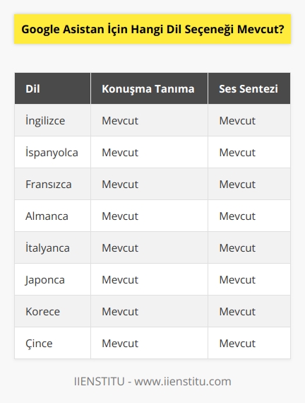 Google Asistan için mevcut olan dil seçenekleri İngilizce, İspanyolca, Fransızca, Almanca, İtalyanca,   ,    ve Çincedir.