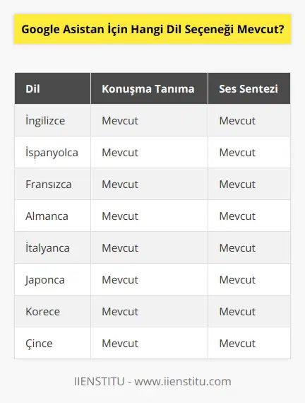 Google Asistan için mevcut olan dil seçenekleri İngilizce, İspanyolca, Fransızca, Almanca, İtalyanca, , ve Çincedir.