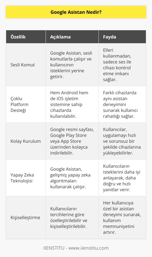 Özellikle    telefonlar için tasarlanmış asistan uygulaması olarak tanımlanır. Hem  hem de İOS işletim sistemine sahip cihazlarda kullanılabilen asistan uygulamasıdır. Bu yapay zeka uygulamasını cihazınıza indirmek için Google resmi sayfasını, Google Play Store’u veya AppStore’u kullanabilirsiniz.