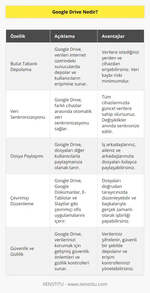 Google’a ait bulut tabanlı veri depolamayı sağlayan sistemdir. Kullanıcılar bu sistem sayesinde verilerini yedekleyebilir ve istedikleri her yerden ulaşabilirler. Verilere ulaşabilmek için internet bağlantısına sahip cihazlar kullanılabilir.