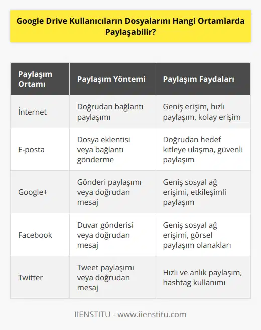 Google Drive kullanıcıları dosyalarını internet ortamında paylaşabilir. Ayrıca arkadaşları, aile üyeleri veya iş ortakları ile dosyaları e-posta, Google+, Facebook veya Twitter gibi sosyal ağlar aracılığıyla paylaşabilir.