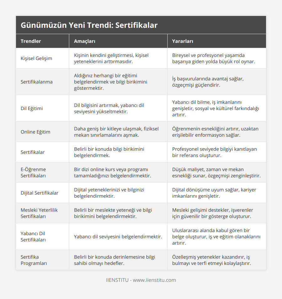Kişisel Gelişim, Kişinin kendini geliştirmesi, kişisel yeteneklerini arttırmasıdır, Bireysel ve profesyonel yaşamda başarıya giden yolda büyük rol oynar, Sertifikalanma, Aldığınız herhangi bir eğitimi belgelendirmek ve bilgi birikimini göstermektir, İş başvurularında avantaj sağlar, özgeçmişi güçlendirir, Dil Eğitimi, Dil bilgisini artırmak, yabancı dil seviyesini yükseltmektir, Yabancı dil bilme, iş imkanlarını genişletir, sosyal ve kültürel farkındalığı artırır, Online Eğitim, Daha geniş bir kitleye ulaşmak, fiziksel mekan sınırlamalarını aşmak, Öğrenmenin esnekliğini artırır, uzaktan erişilebilir enformasyon sağlar, Sertifikalar, Belirli bir konuda bilgi birikimini belgelendirmek, Profesyonel seviyede bilgiyi kanıtlayan bir referans oluşturur, E-Öğrenme Sertifikaları, Bir dizi online kurs veya programı tamamladığınızı belgelendirmektir, Düşük maliyet, zaman ve mekan esnekliği sunar, özgeçmişi zenginleştirir, Dijital Sertifikalar, Dijital yeteneklerinizi ve bilginizi belgelendirmektir, Dijital dönüşüme uyum sağlar, kariyer imkanlarını genişletir, Mesleki Yeterlilik Sertifikaları, Belirli bir meslekte yeteneği ve bilgi birikimini belgelendirmektir, Mesleki gelişimi destekler, işverenler için güvenilir bir gösterge oluşturur, Yabancı Dil Sertifikaları, Yabancı dil seviyesini belgelendirmektir, Uluslararası alanda kabul gören bir belge oluşturur, iş ve eğitim olanaklarını artırır, Sertifika Programları, Belirli bir konuda derinlemesine bilgi sahibi olmayı hedefler, Özelleşmiş yetenekler kazandırır, iş bulmayı ve terfi etmeyi kolaylaştırır