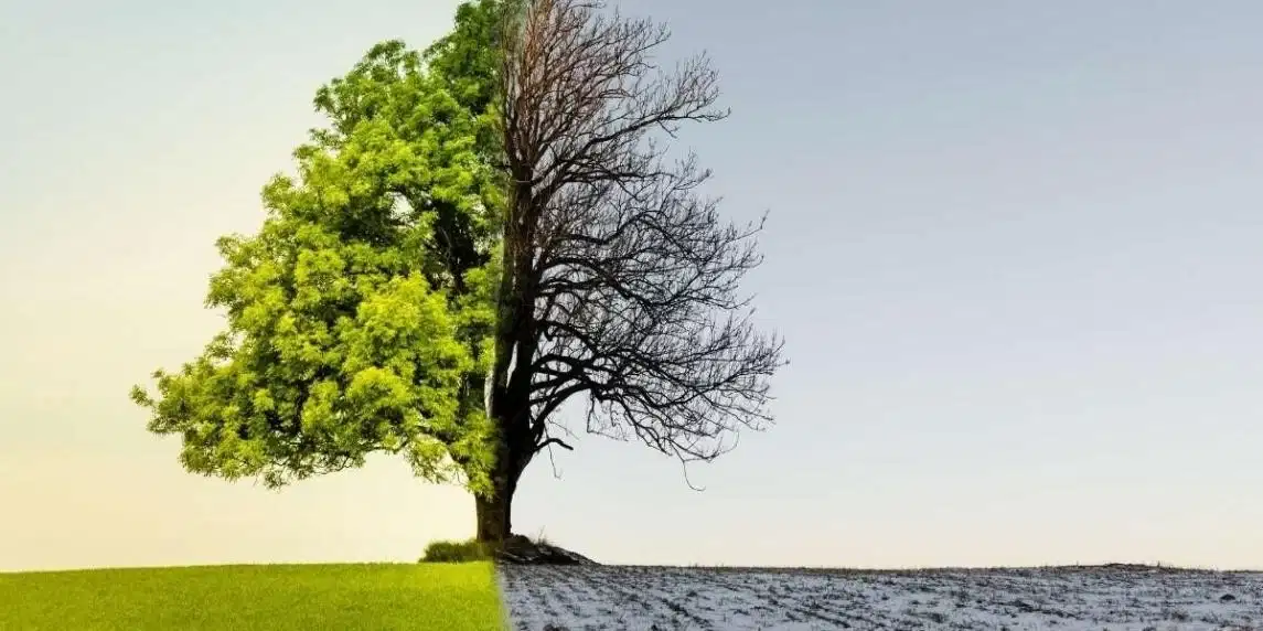 Hepimizi Bekleyen Büyük Tehlike: Kuraklık