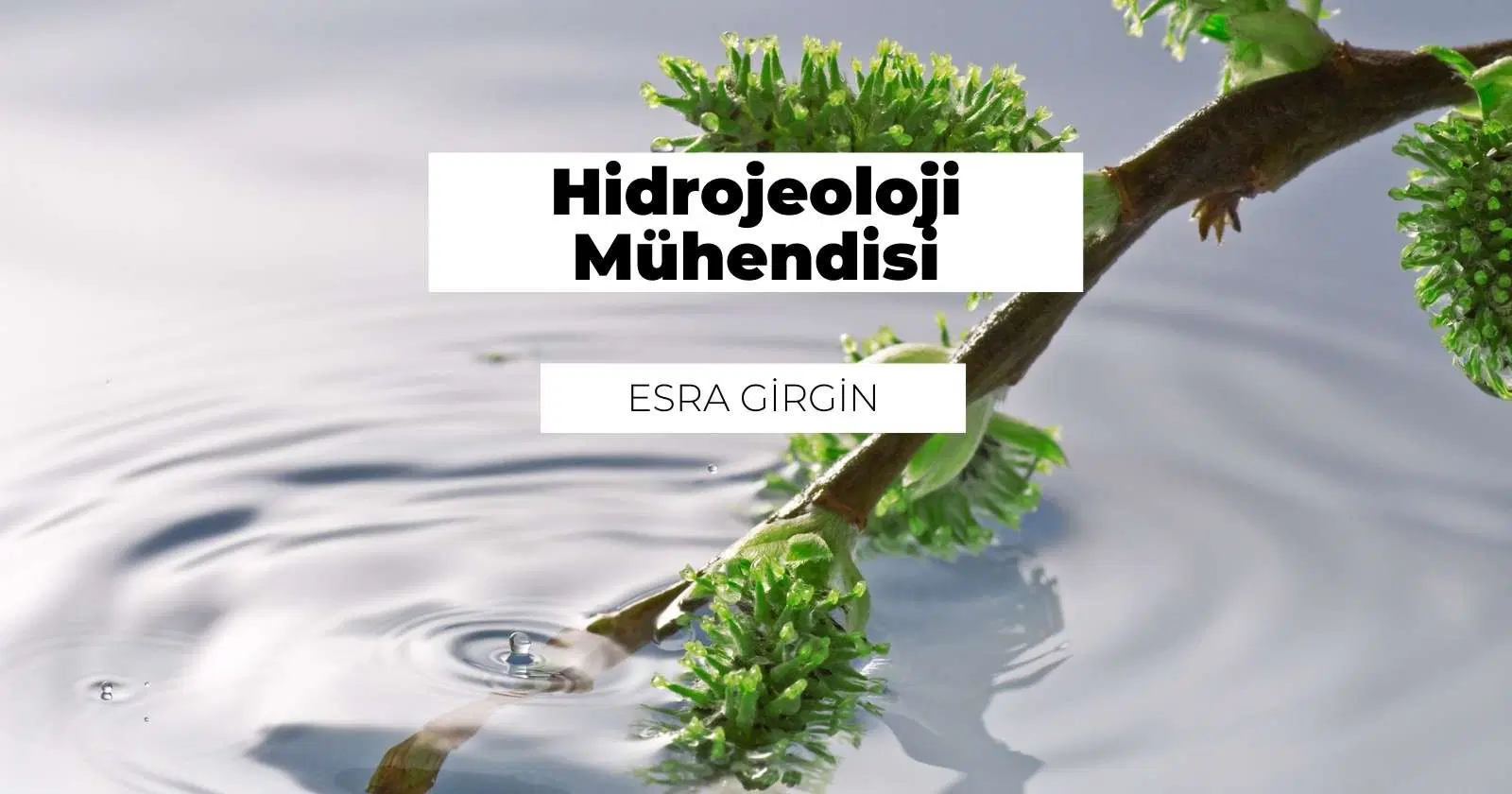 Hidrojeoloji Mühendisi Nedir? Ne İş Yapar?