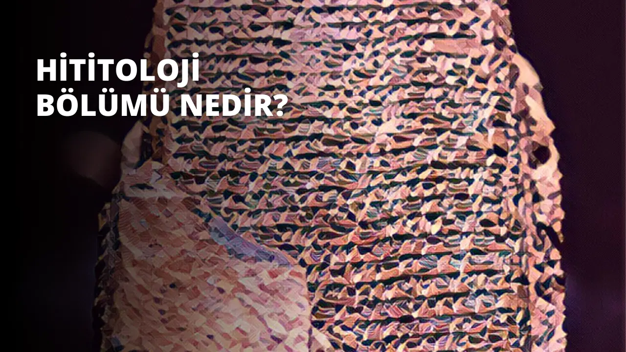 Hititoloji Bölümü Nedir?