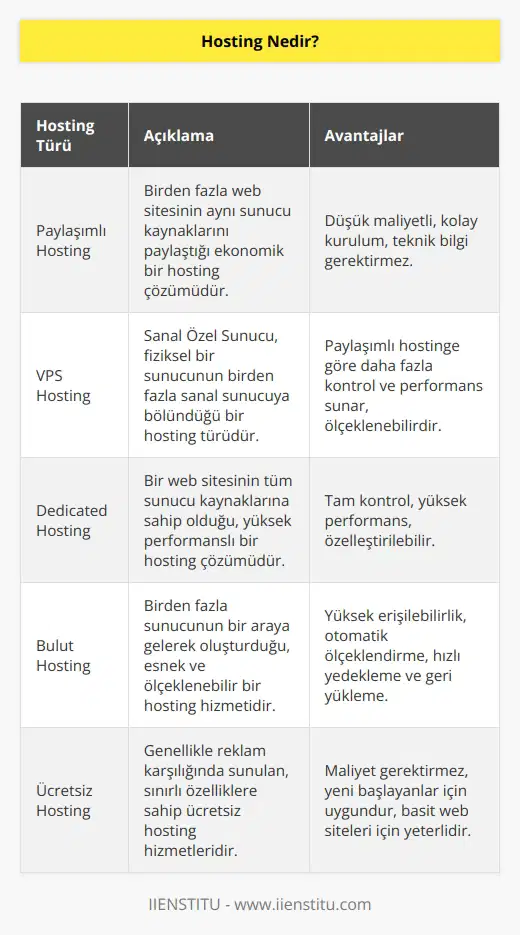 Hosting, web sitenizin başkaları tarafından internette görüntülenmesini sağlayan hizmettir. Nasıl bir hostinge ihtiyacınız duyacağınız, web sitenizi nasıl kullanmayı planladığınıza ve bunun için ne kadar bütçe ayırdığınıza bağlıdır. Hosting hizmetleri büyük bir oranda ücretli olmasına karşın ücretsiz hosting hizmeti veren işletmeler de mevcuttur.