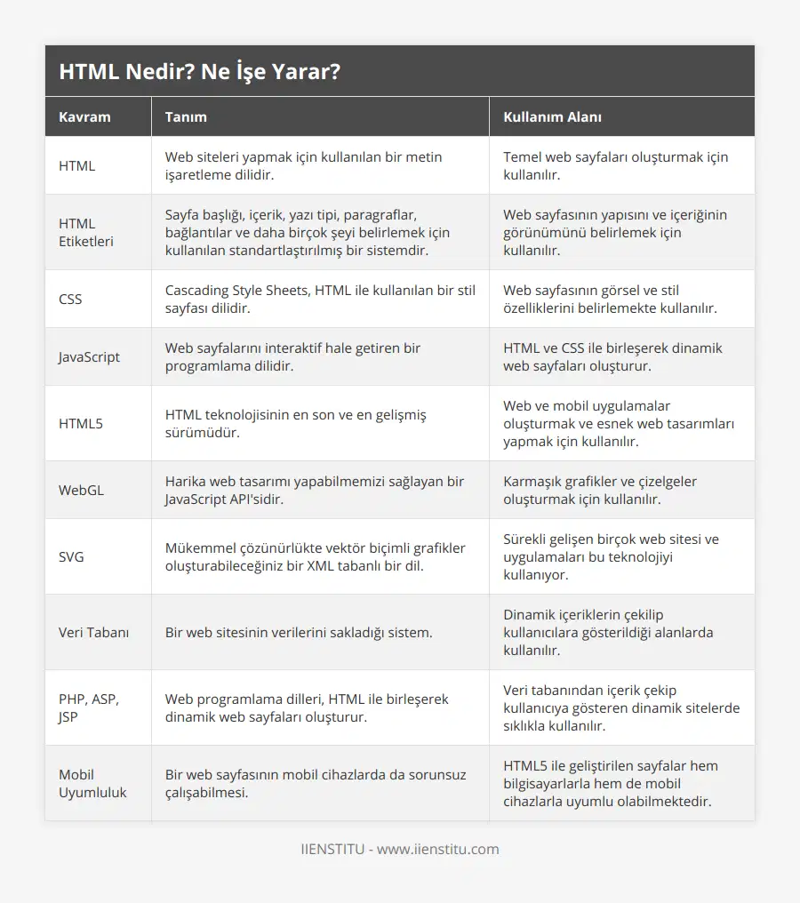 HTML, Web siteleri yapmak için kullanılan bir metin işaretleme dilidir, Temel web sayfaları oluşturmak için kullanılır, HTML Etiketleri, Sayfa başlığı, içerik, yazı tipi, paragraflar, bağlantılar ve daha birçok şeyi belirlemek için kullanılan standartlaştırılmış bir sistemdir, Web sayfasının yapısını ve içeriğinin görünümünü belirlemek için kullanılır, CSS, Cascading Style Sheets, HTML ile kullanılan bir stil sayfası dilidir, Web sayfasının görsel ve stil özelliklerini belirlemekte kullanılır, JavaScript, Web sayfalarını interaktif hale getiren bir programlama dilidir, HTML ve CSS ile birleşerek dinamik web sayfaları oluşturur, HTML5, HTML teknolojisinin en son ve en gelişmiş sürümüdür, Web ve mobil uygulamalar oluşturmak ve esnek web tasarımları yapmak için kullanılır, WebGL, Harika web tasarımı yapabilmemizi sağlayan bir JavaScript API'sidir, Karmaşık grafikler ve çizelgeler oluşturmak için kullanılır, SVG, Mükemmel çözünürlükte vektör biçimli grafikler oluşturabileceğiniz bir XML tabanlı bir dil, Sürekli gelişen birçok web sitesi ve uygulamaları bu teknolojiyi kullanıyor, Veri Tabanı, Bir web sitesinin verilerini sakladığı sistem, Dinamik içeriklerin çekilip kullanıcılara gösterildiği alanlarda kullanılır, PHP, ASP, JSP, Web programlama dilleri, HTML ile birleşerek dinamik web sayfaları oluşturur, Veri tabanından içerik çekip kullanıcıya gösteren dinamik sitelerde sıklıkla kullanılır, Mobil Uyumluluk, Bir web sayfasının mobil cihazlarda da sorunsuz çalışabilmesi, HTML5 ile geliştirilen sayfalar hem bilgisayarlarla hem de mobil cihazlarla uyumlu olabilmektedir